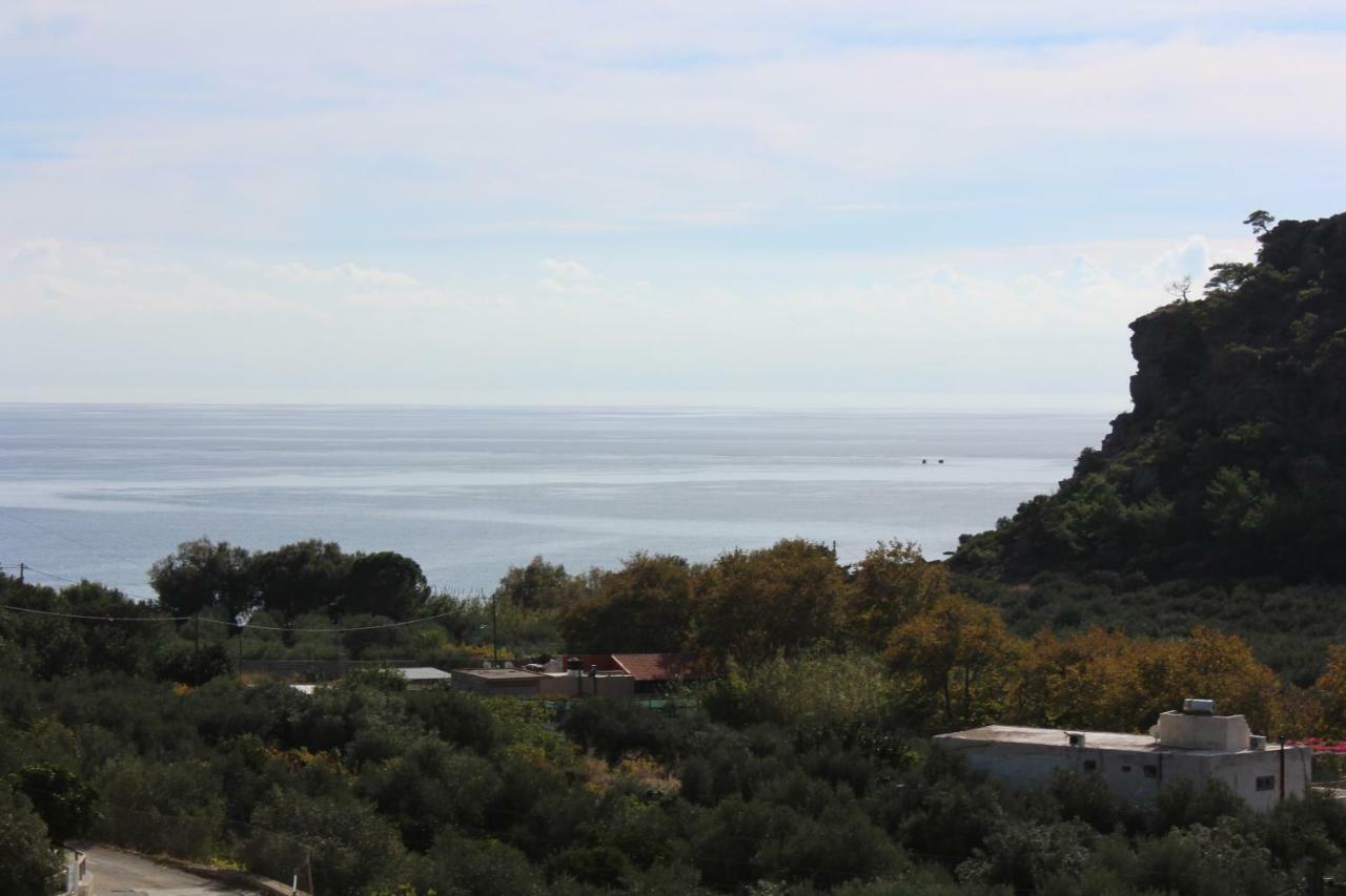 Aaron Studios Apartments Agia Fotia  Exteriér fotografie
